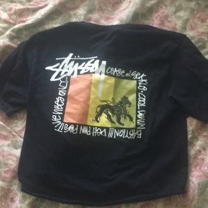 Stussy crop top shirt